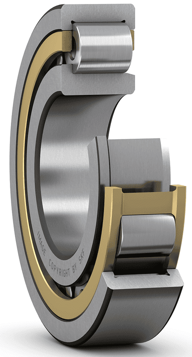 N202 E-TVP: Cylindrical Roller Bearing